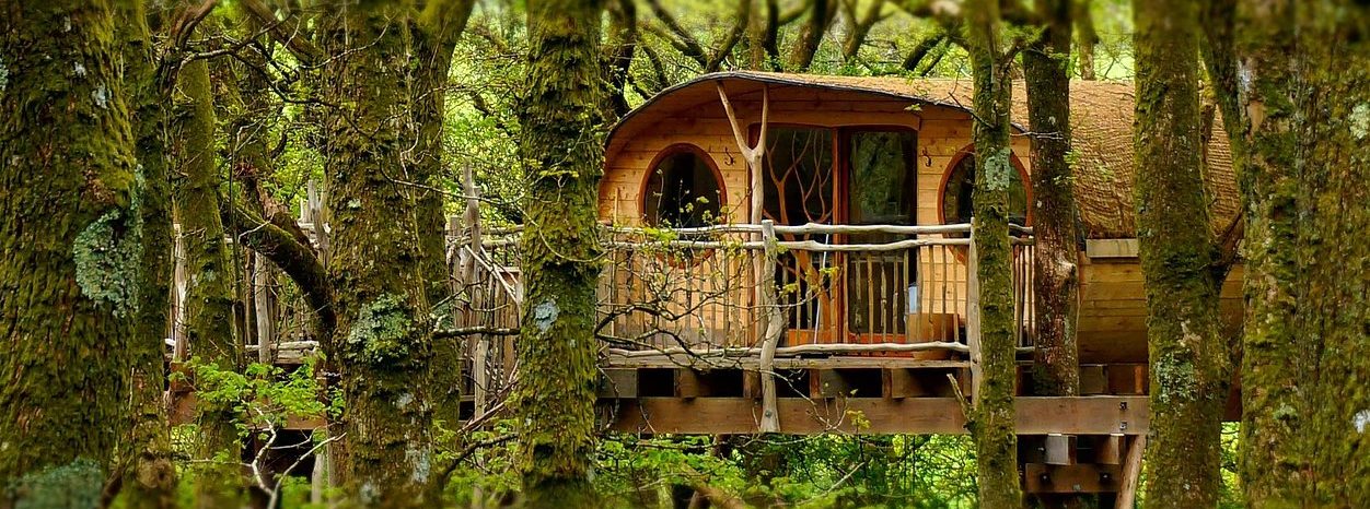 treehouse wales e1496012070211