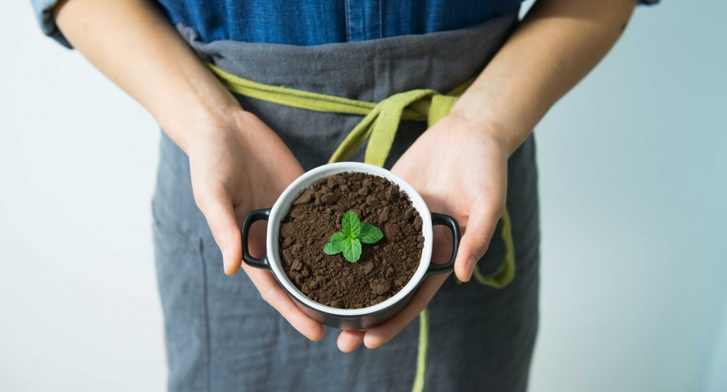 6 Innovative Idea for Going Green - STAAH