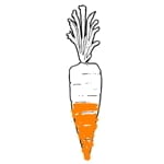 Edible Part Of The Carrot - STAAH Blog