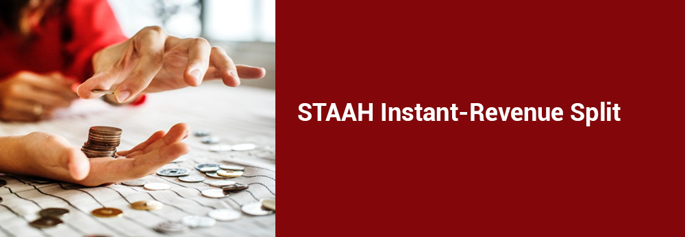 STAAH INSTANT-Revenue Split
