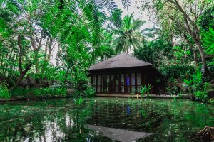 The Farm at San Benito Philippines 1