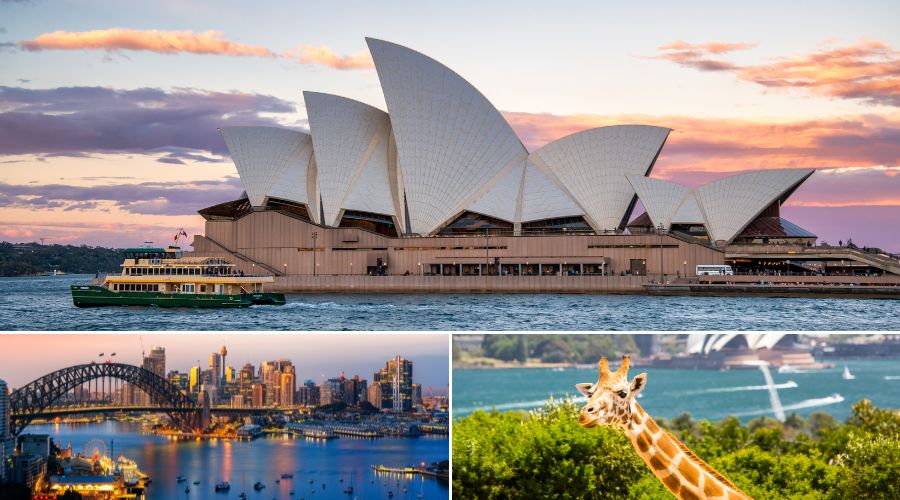 Sydney Opera House,the Sydney Harbour Bridge, Taronga park Zoo